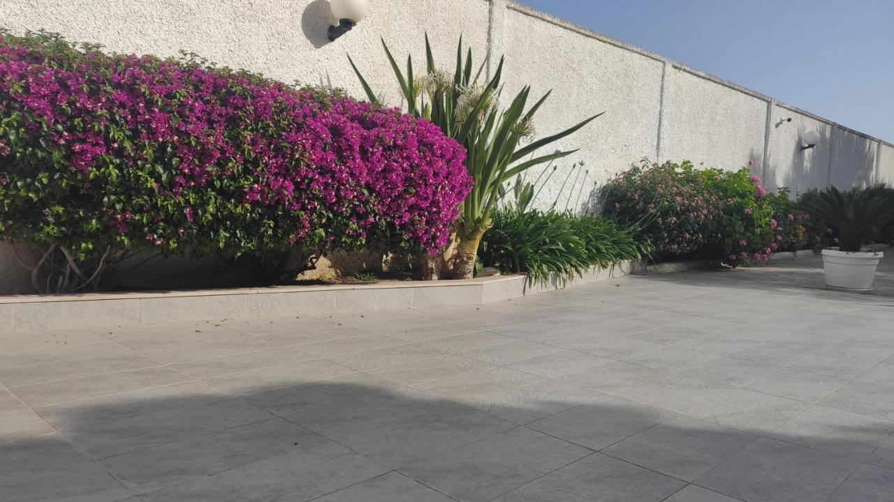Seagull Apartments - Front And Sea View & Airport Bari Exterior foto