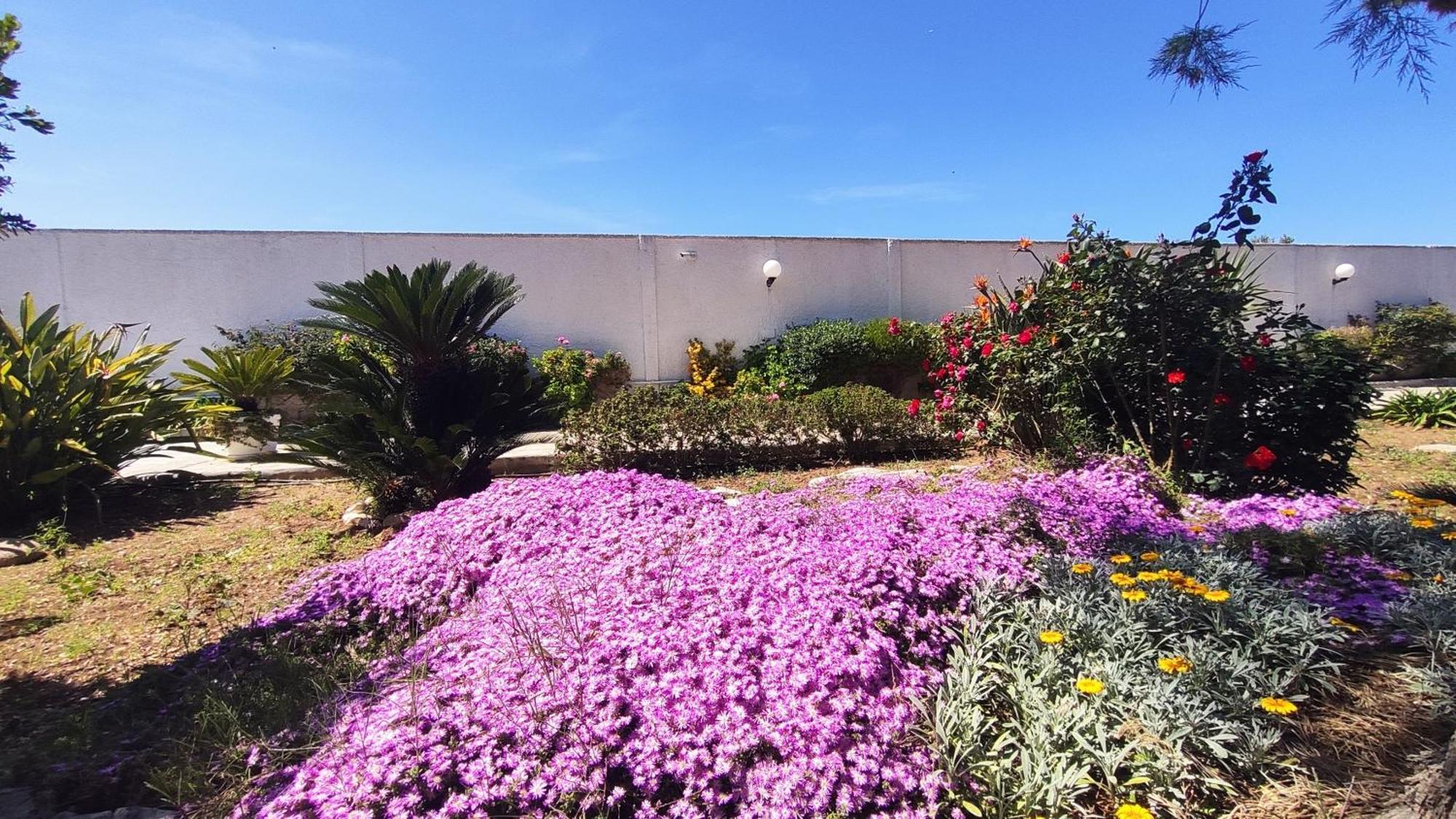 Seagull Apartments - Front And Sea View & Airport Bari Exterior foto
