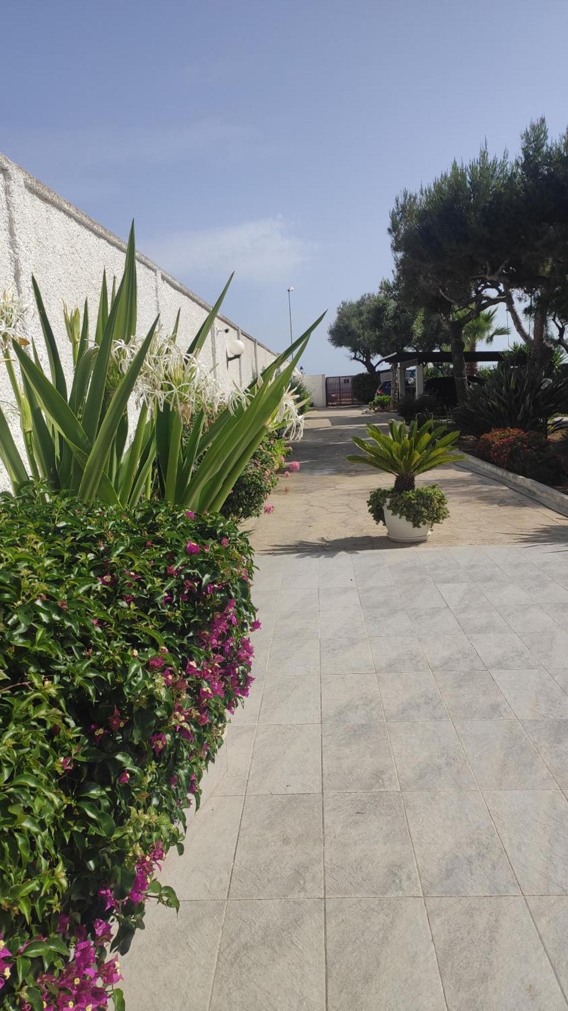 Seagull Apartments - Front And Sea View & Airport Bari Exterior foto